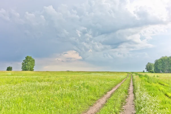 Sommarlandskap — Stockfoto