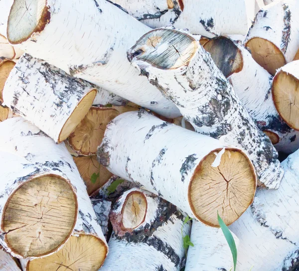 Pile of firewood — Stock Photo, Image