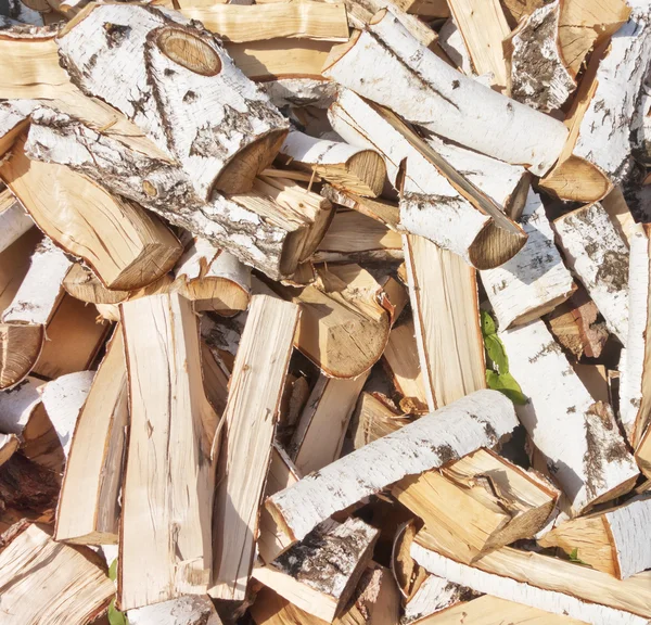 Birch firewood — Stock Photo, Image