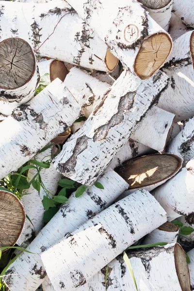 Pile de bois de chauffage — Photo