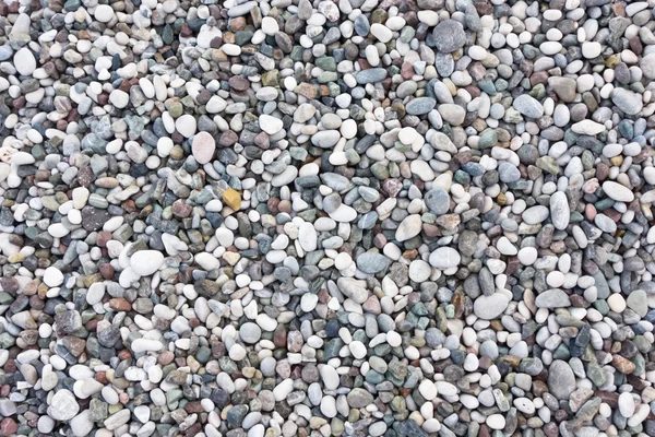 Sea stones — Stock Photo, Image