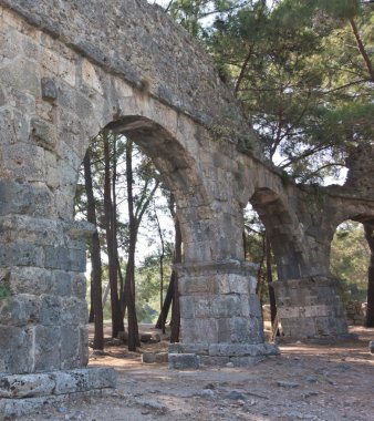 Phaseliszwangere buik met sigaretten
