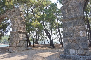 Phaseliszwangere buik met sigaretten