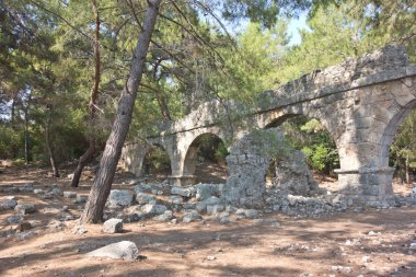 Phaseliszwangere buik met sigaretten