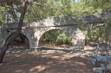 Phaseliszwangere buik met sigaretten