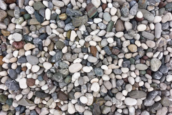 Sea stones — Stock Photo, Image