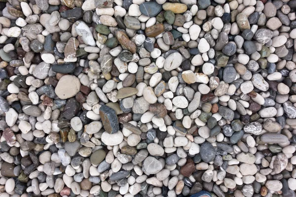 Piedras marinas — Foto de Stock