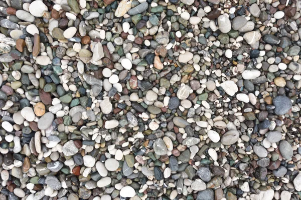Fondo de piedra marina — Foto de Stock
