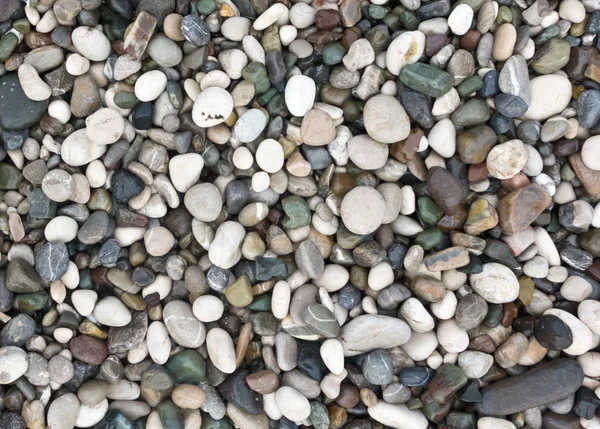 Pebble achtergrond — Stockfoto