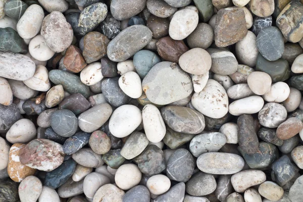 Sea stone background — Stock Photo, Image