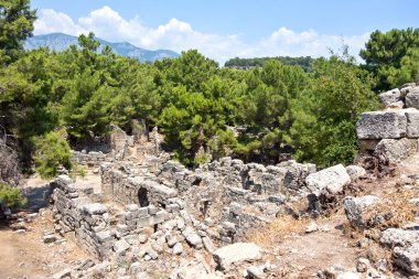 Phaseliszwangere buik met sigaretten