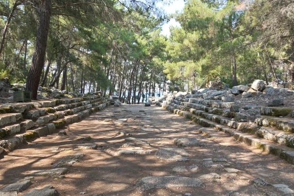 Φασηλίδα — Φωτογραφία Αρχείου