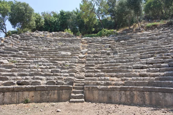 Φασηλίδα — Φωτογραφία Αρχείου