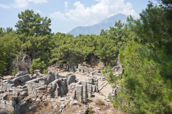 Φασηλίδα — Φωτογραφία Αρχείου