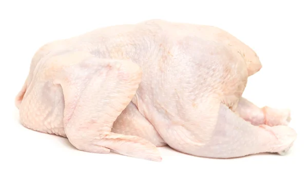 Rohes Huhn — Stockfoto