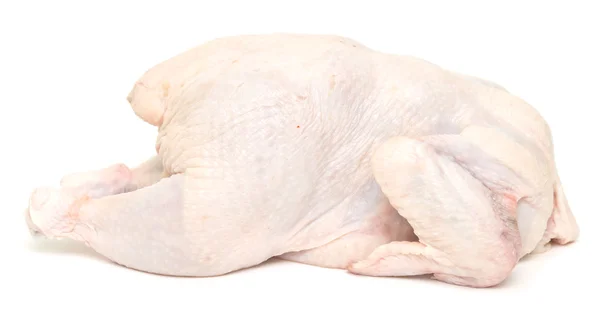 Rohes Huhn — Stockfoto