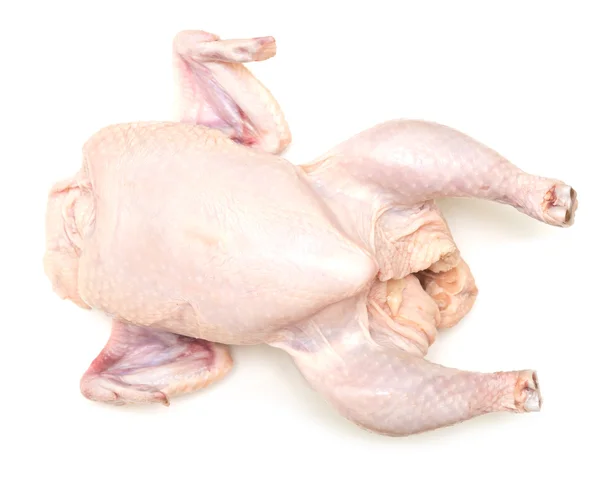 Syrové kuře — Stock fotografie