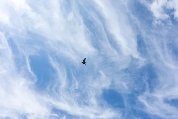 Cielo azul — Foto de Stock