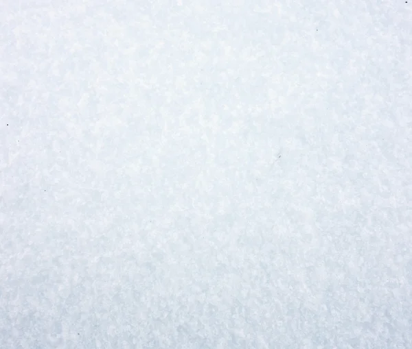 Texture neige fraîche — Photo