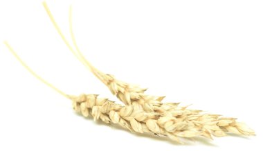 Beyaz buğday