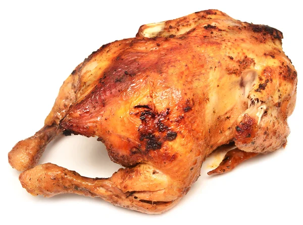 Pollo su bianco — Foto Stock