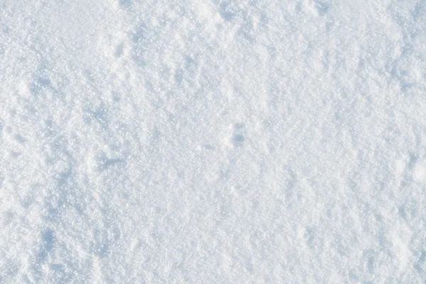 Fresh snow texture — Stock Photo, Image