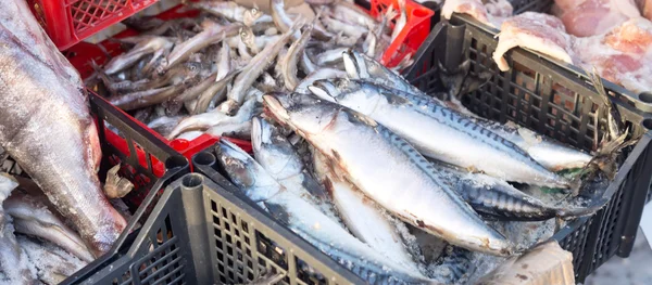 Fryst mat på marknaden — Stockfoto