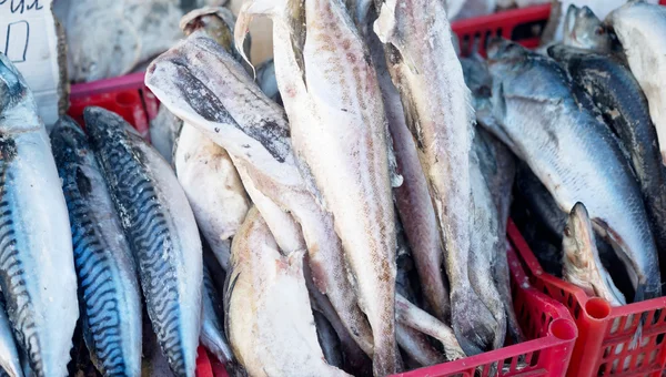 Alimentos congelados en el mercado —  Fotos de Stock