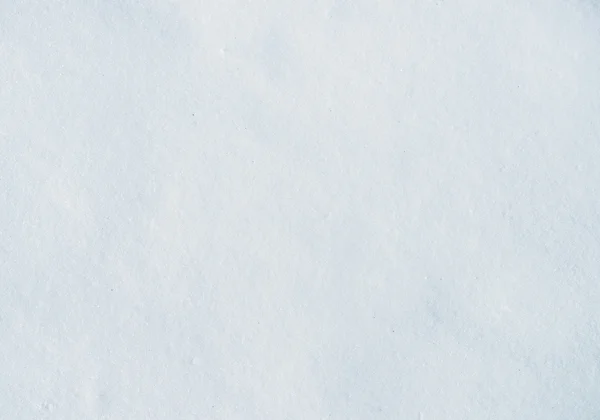 Latar belakang salju segar — Stok Foto