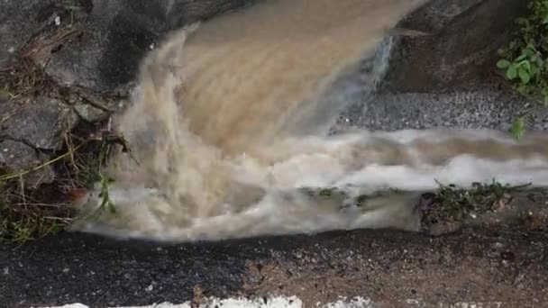 El flujo de agua de lluvia sucia — Vídeos de Stock