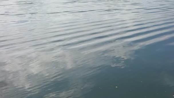 Fond de l'eau et des nuages réfléchies Séquence Vidéo Libre De Droits