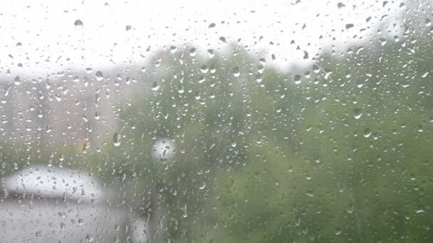 Rain drops on a window. Time lapse. — Stock Video