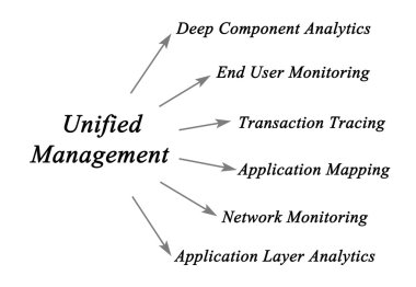 Birleşik bir yönetim şeması