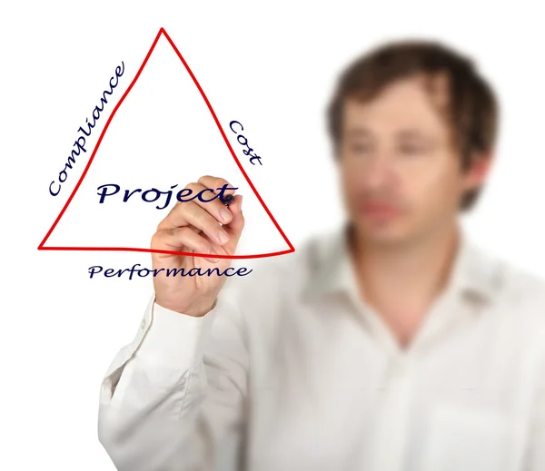 Schema dell'organizzazione del progetto — Foto Stock