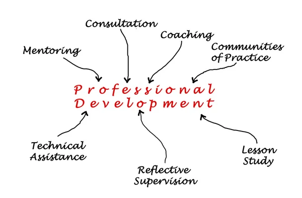 Diagrama de Desenvolvimento Profissional — Fotografia de Stock