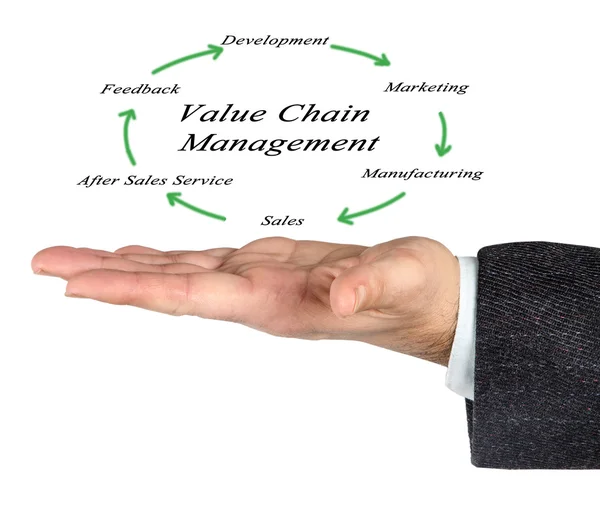 Diagram van de Value Chain Management — Stockfoto