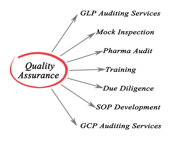 Diagrama de garantía de calidad —  Fotos de Stock