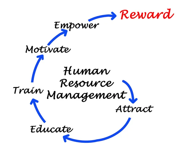 Diagram of human resource management — Stock Photo, Image