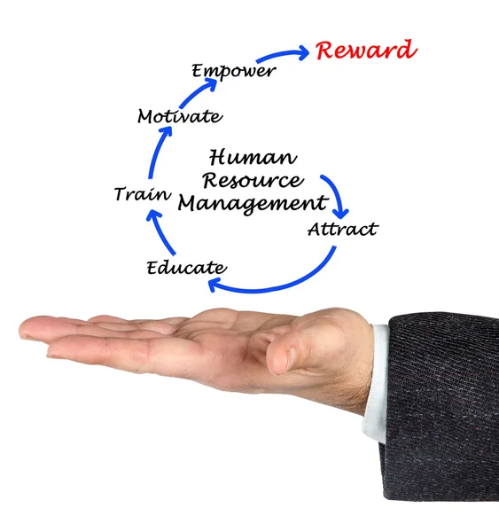 Diagram of human resource management — Stock Photo, Image