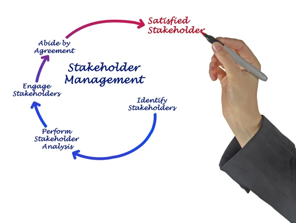 Diagram van Stakeholder Management — Stockfoto