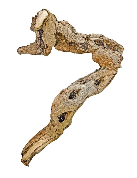 Close up of dry branch — Stock Photo, Image