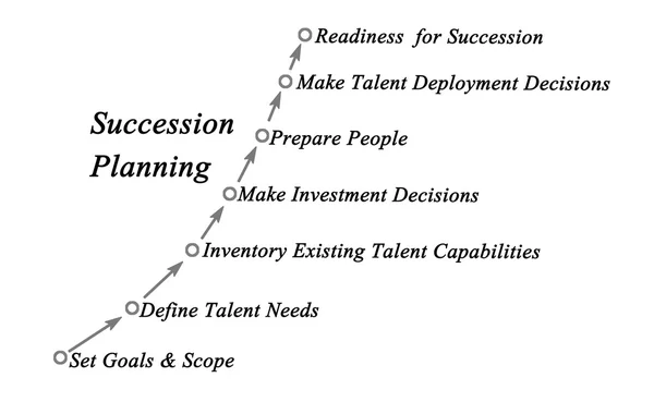 Succession Planning & Management Process — Stock Photo, Image