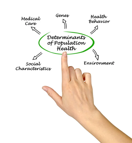 Determinanty zdraví obyvatelstva — Stock fotografie