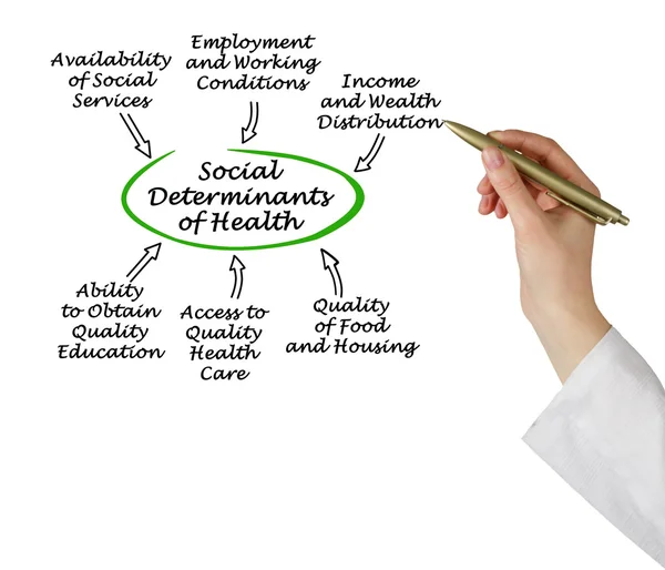 Social Determinants of Health — Stock Photo, Image