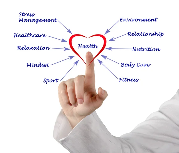 Presentation of Diagram of health — Stock Photo, Image