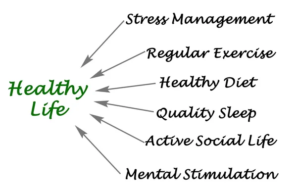 Diagrama de vida saudável — Fotografia de Stock