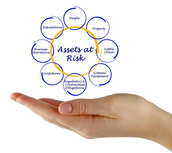 Diagram of Assets at Risk — Stock Photo, Image