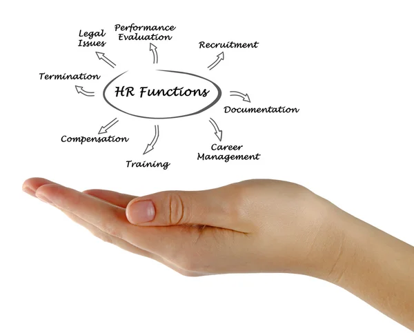 Diagram van Hr-functies — Stockfoto