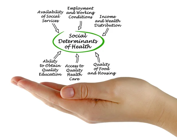 Sociální determinanty zdraví — Stock fotografie