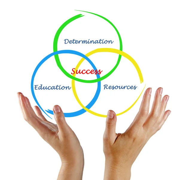 Apresentação do diagrama de sucesso — Fotografia de Stock